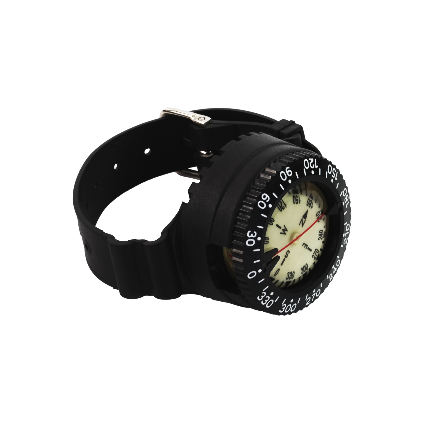 Capricorn Compass