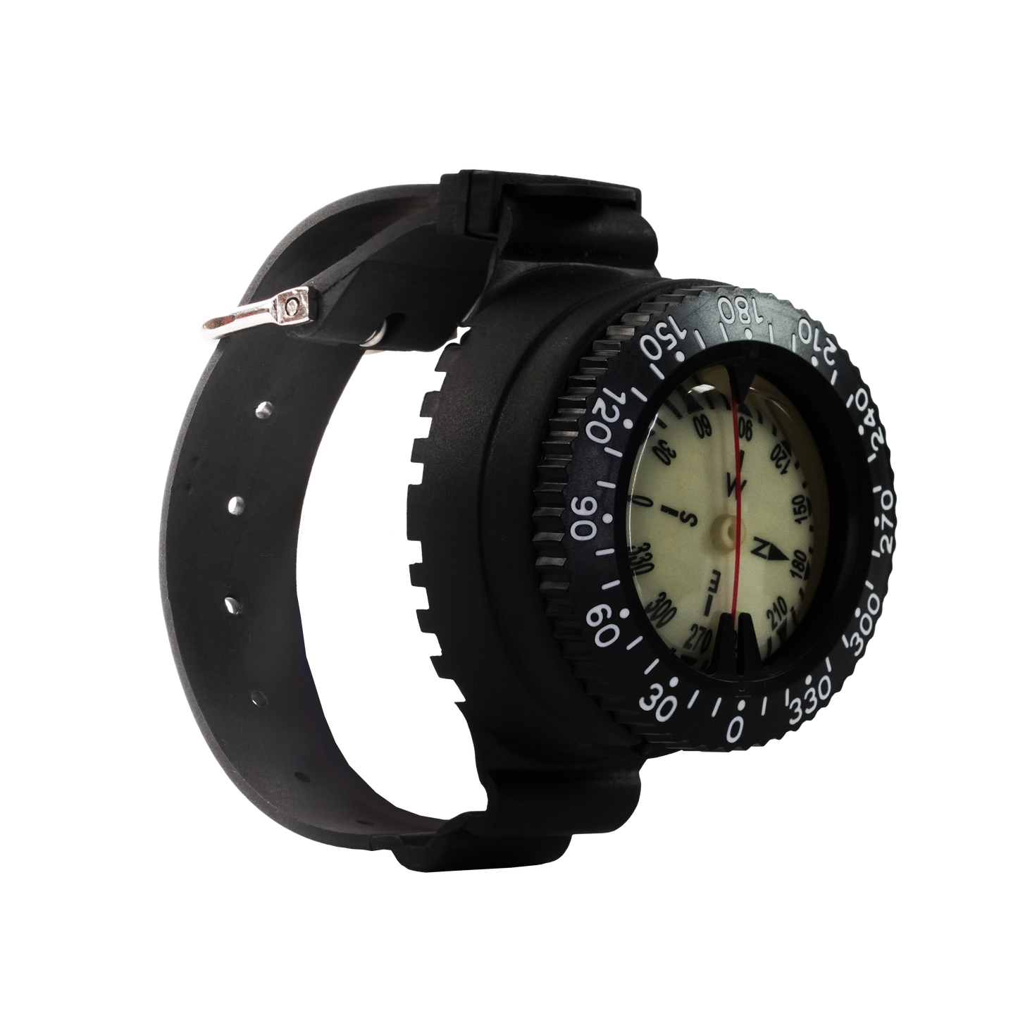 Capricorn Compass