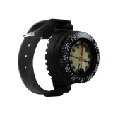 Capricorn Compass