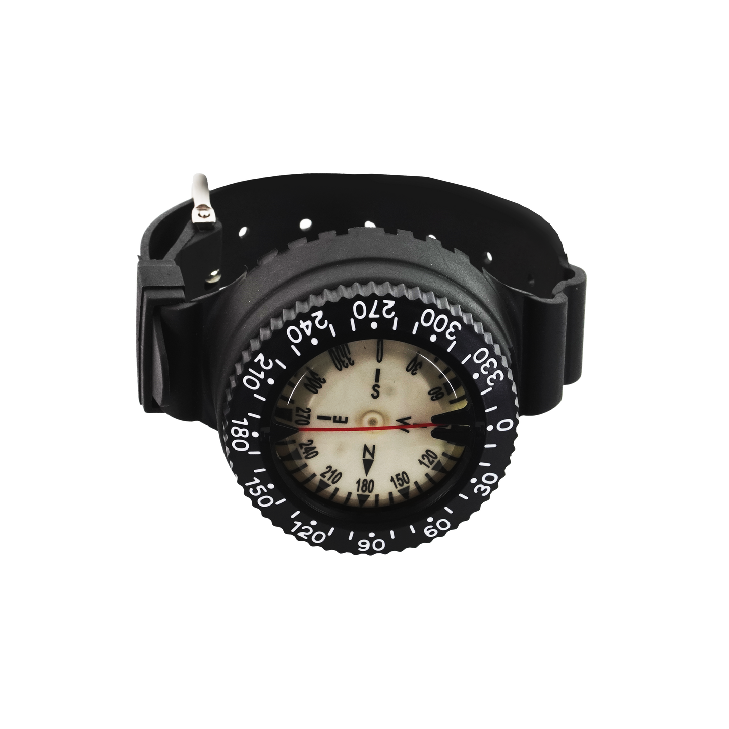 Capricorn Compass