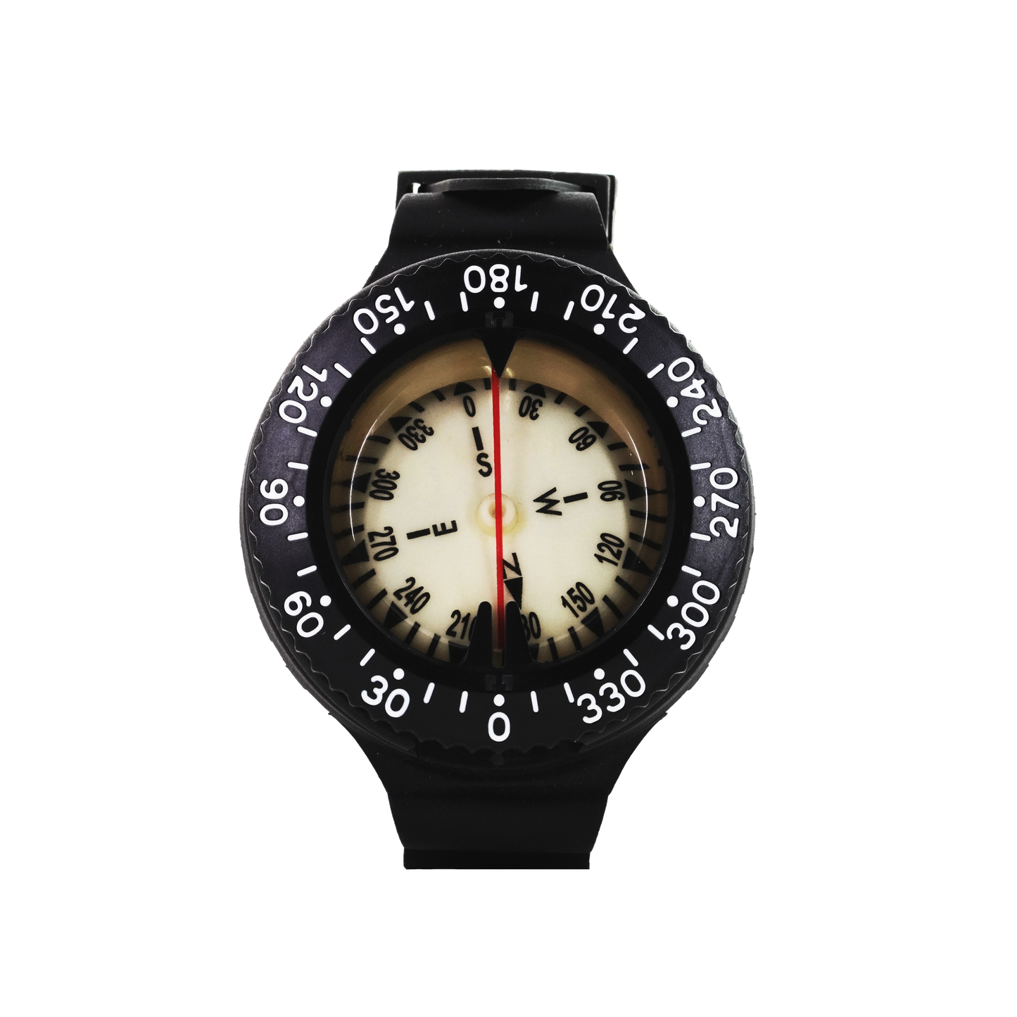 Capricorn Compass
