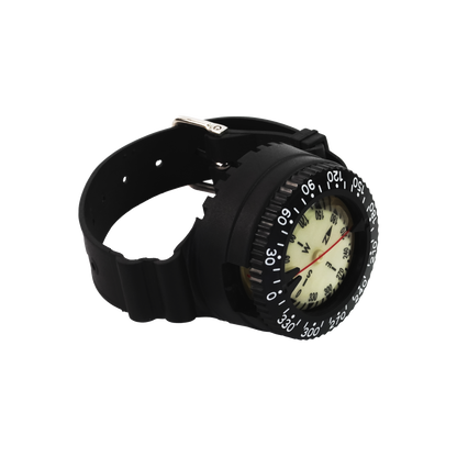 Capricorn Compass