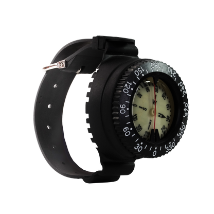 Capricorn Compass