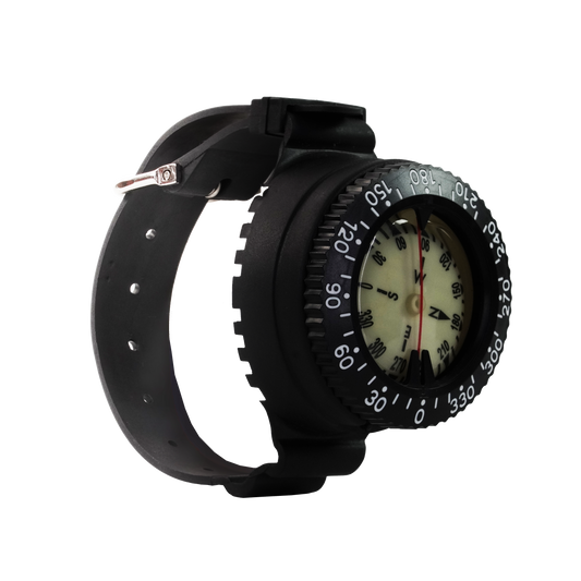 Capricorn Compass