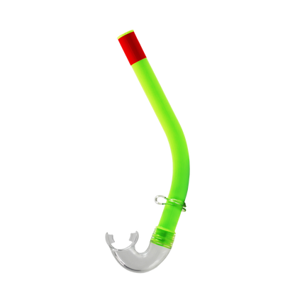 Reef Snorkel