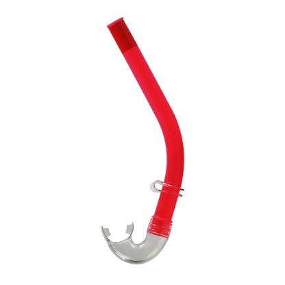 Reef Snorkel