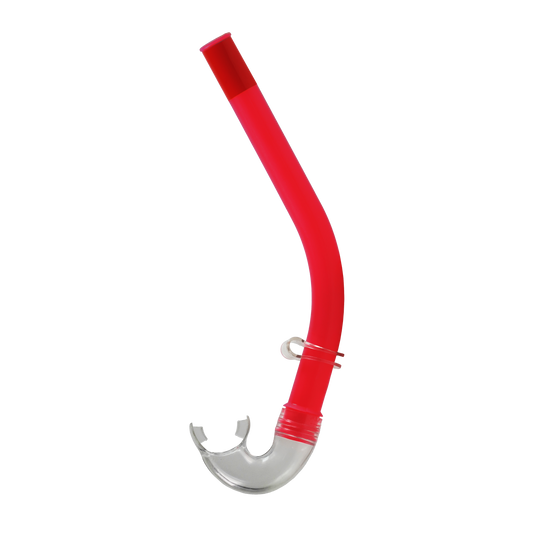 Reef Snorkel