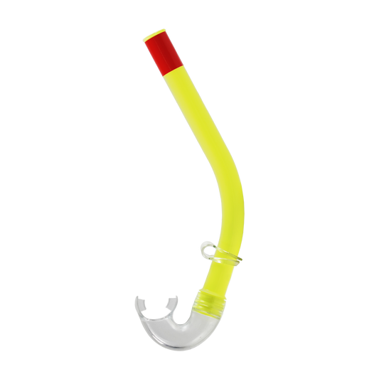 Reef Snorkel